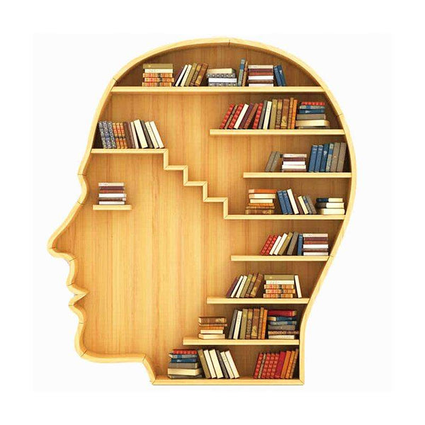 Chiquitos Bookshelves in Gold Modern Tree Furniture Latest Nordic High Quality Top Selling Narrow Book Shelves